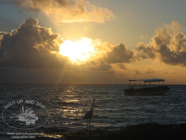 Insel-051025-1835b(25)