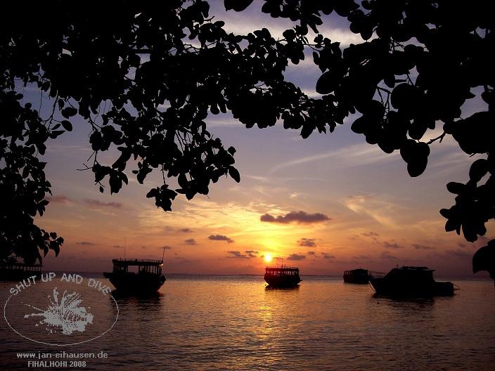 Insel-08-10-30_07-00(25)