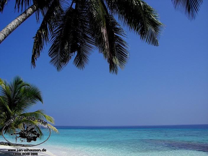 Insel-08-11-03_11-37(25)