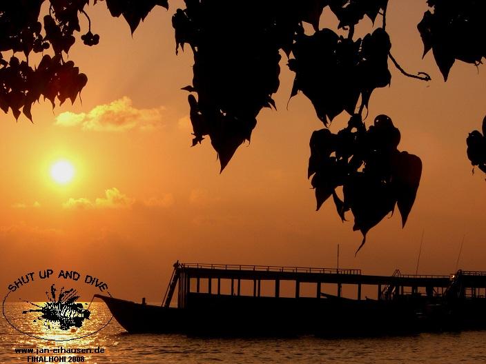 Insel-08-11-05_07-18(25)