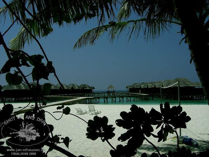 Insel-08-11-05_13-34(25)