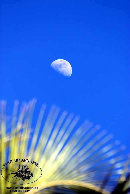 Insel031-2011-10-05(15)