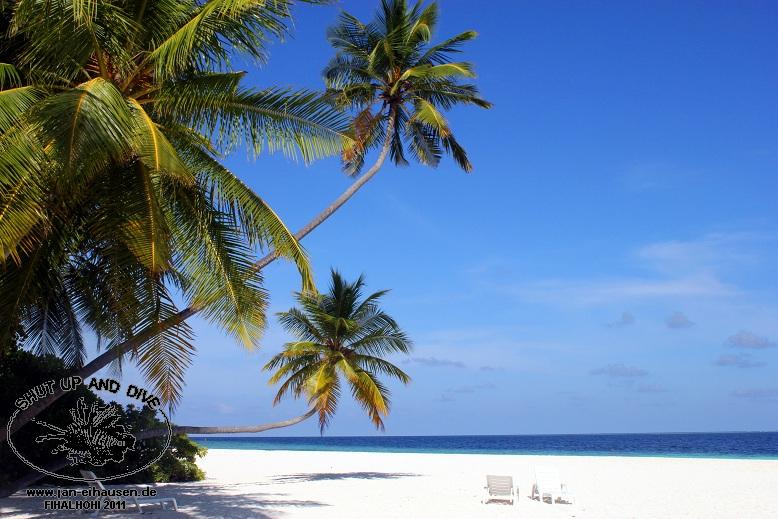 Insel044-2011-10-06(15)