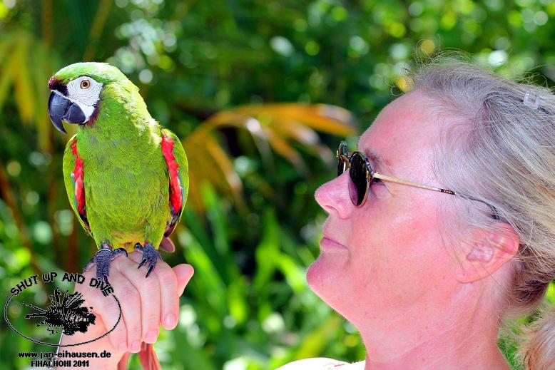 Insel081-2011-10-14(15)