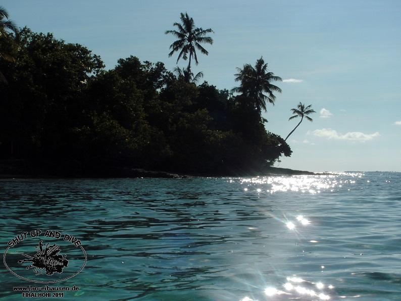 Insel091-2011-10-15(20)