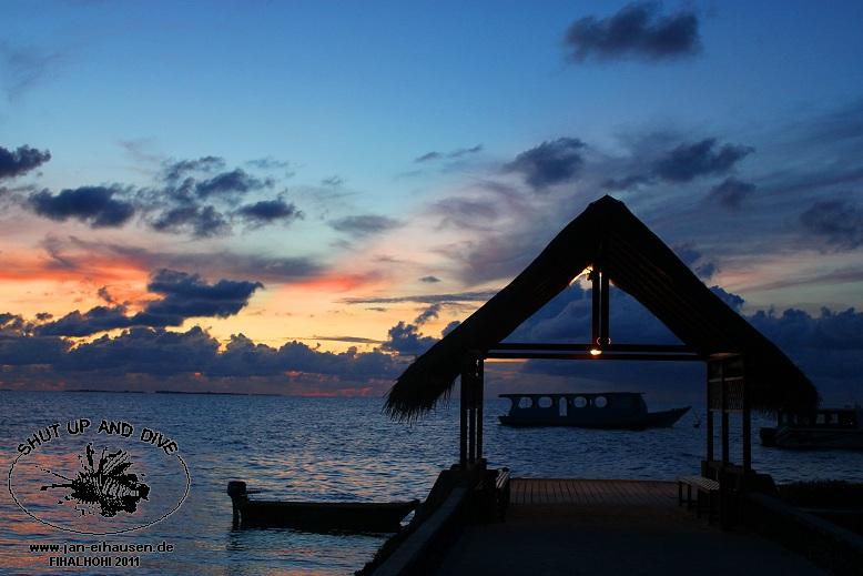 SA005-2011-10-17(15)