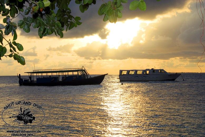 SA029-2011-10-17(15)