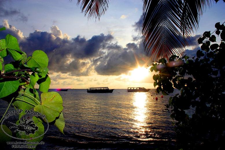 SA035-2011-10-17(15)