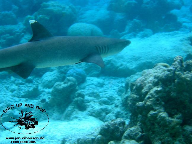 SC2005-051022-1015b(25)