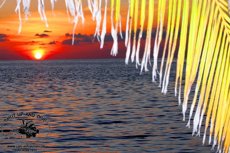 SU012-2011-10-05(15)