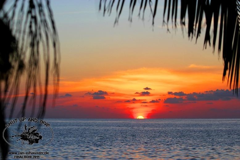 SU013-2011-10-05(15)