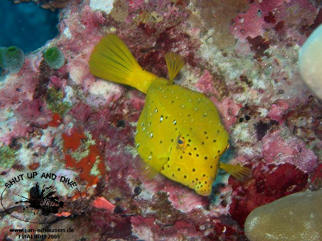 TG277-051009-1557(25)