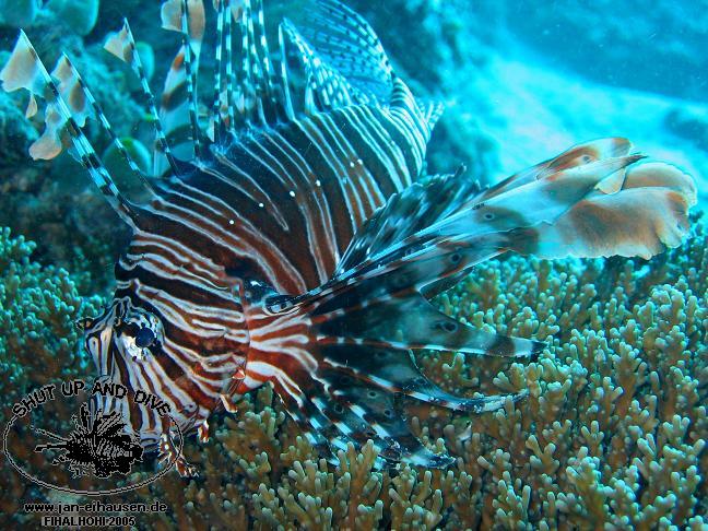 TG278-051012-1543b(25)