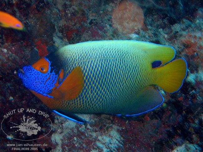 TG280-051013-1451b(25)