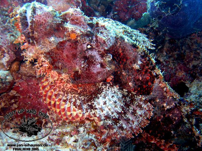 TG280-051013-1516b(25)