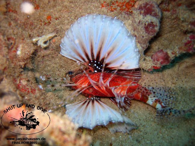 TG282-051015-1351(25)