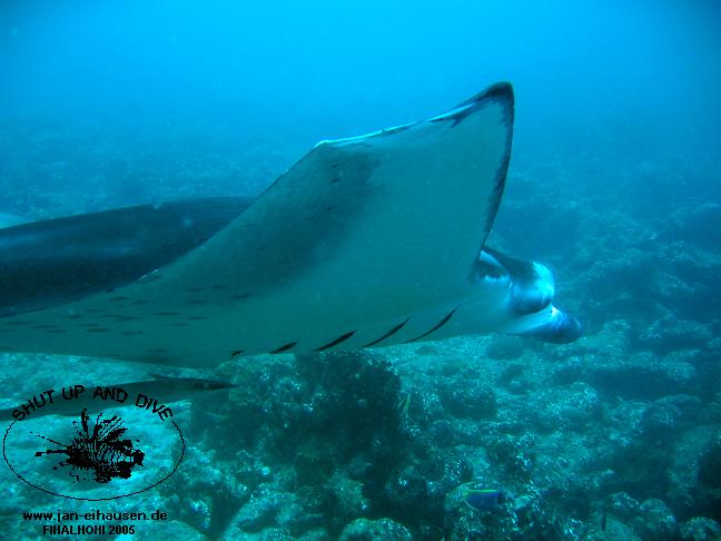 TG283-051016-1244b(25)