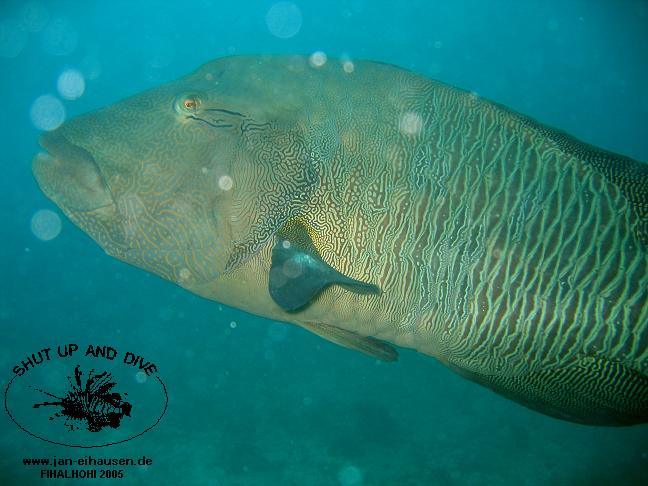 TG284-051016-1600c(25)