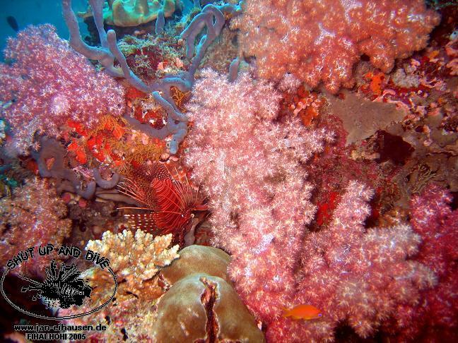 TG284-051016-1615b(25)