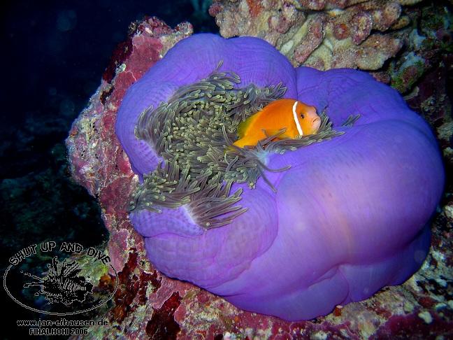 TG292-061028-100448(25)