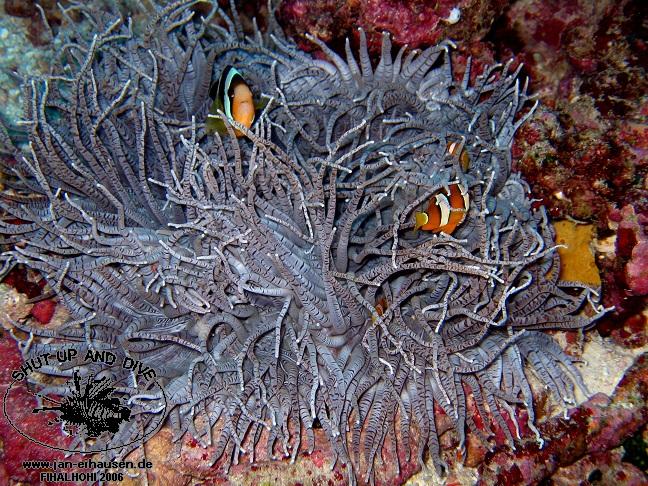 TG292-061028-101913(25)