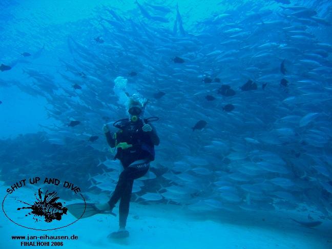 TG295-061029-103548(25)