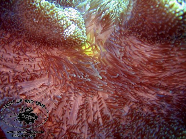 TG298-061030-151406(25)