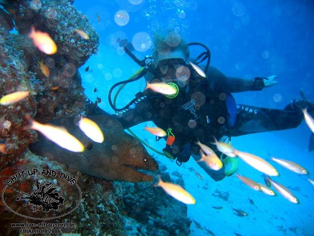 TG305-061106-105842(25)