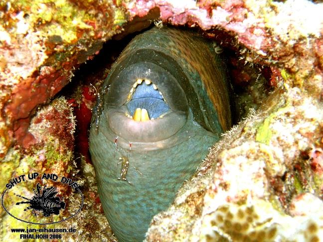 TG307-061106-181023(25)