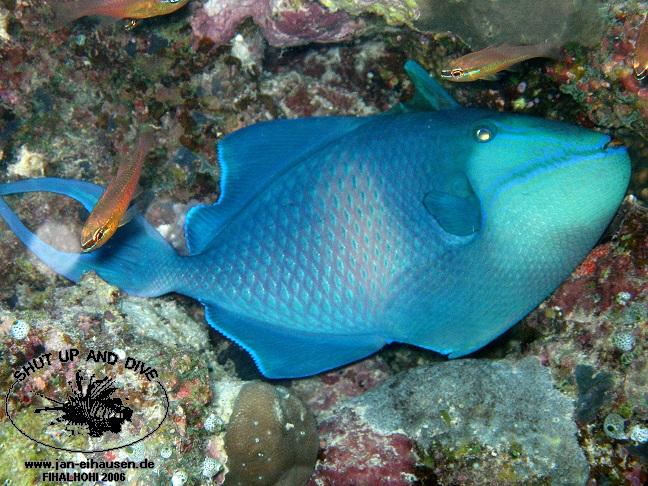 TG307-061106-182048(25)