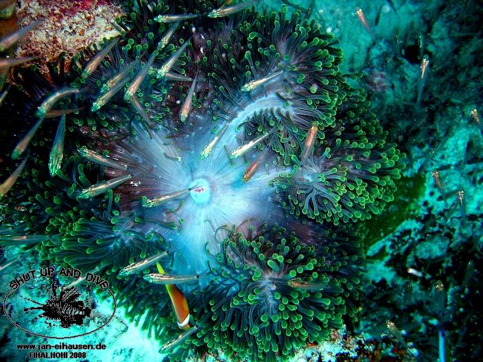 TG325-08-10-24_15-50(25)