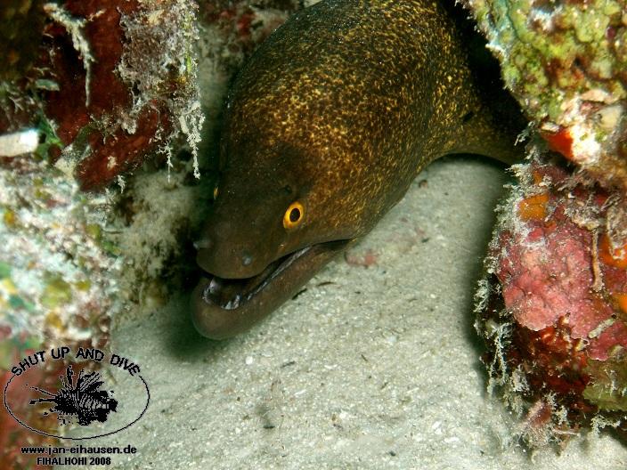 TG325-08-10-24_15-52(25)