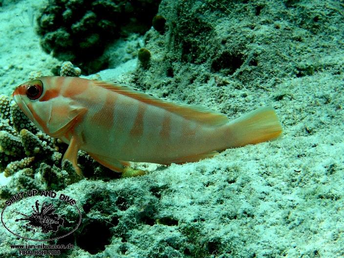 TG326-08-10-25_11-32(25)