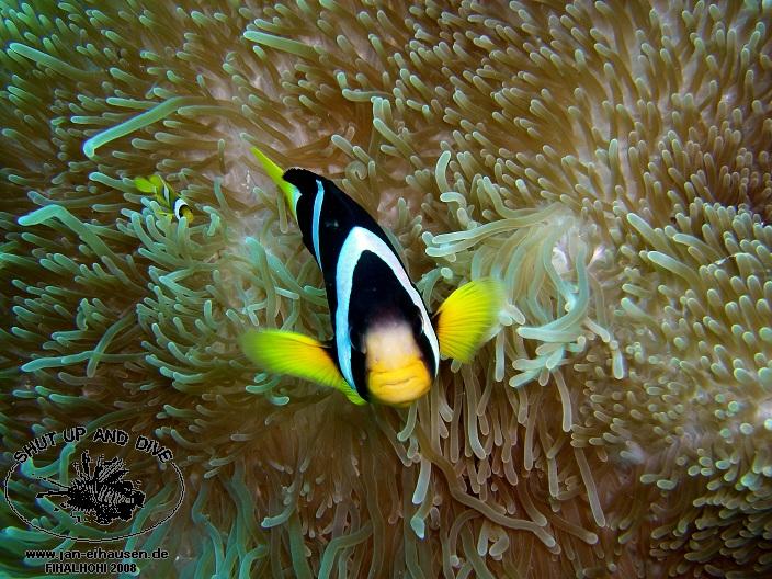 TG327-08-10-25_15-20b(25)