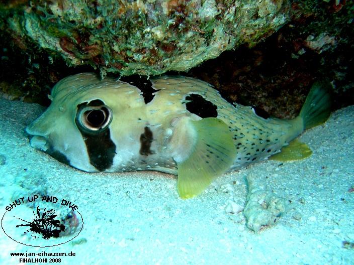 TG327-08-10-25_15-22(25)