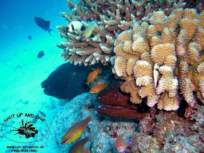 TG327-08-10-25_15-37(25)