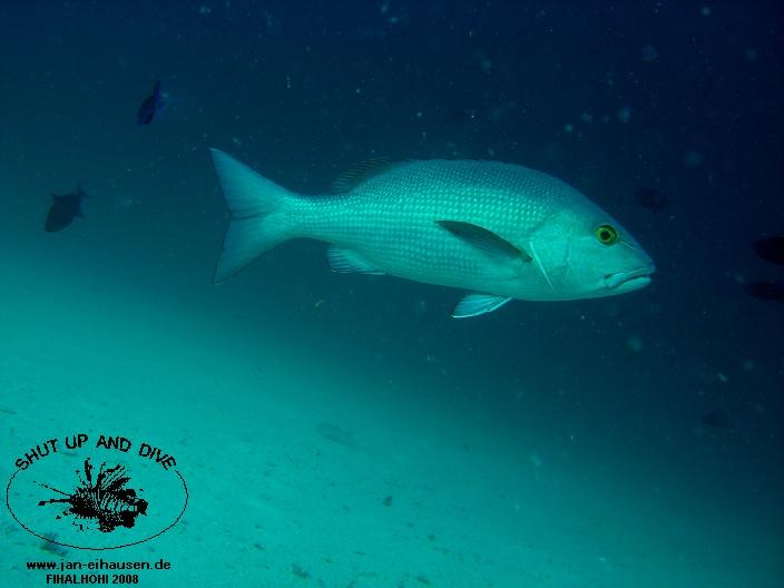 TG327-08-10-25_15-45a(25)