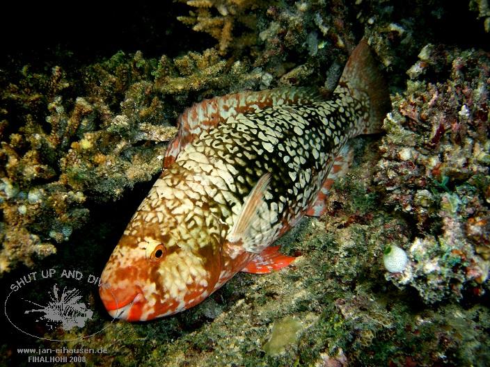 TG328-08-10-25_19-23(25)