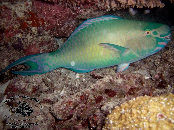 TG328-08-10-25_19-30(25)