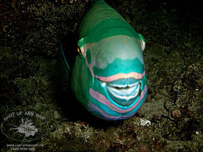 TG328-08-10-25_19-45(25)