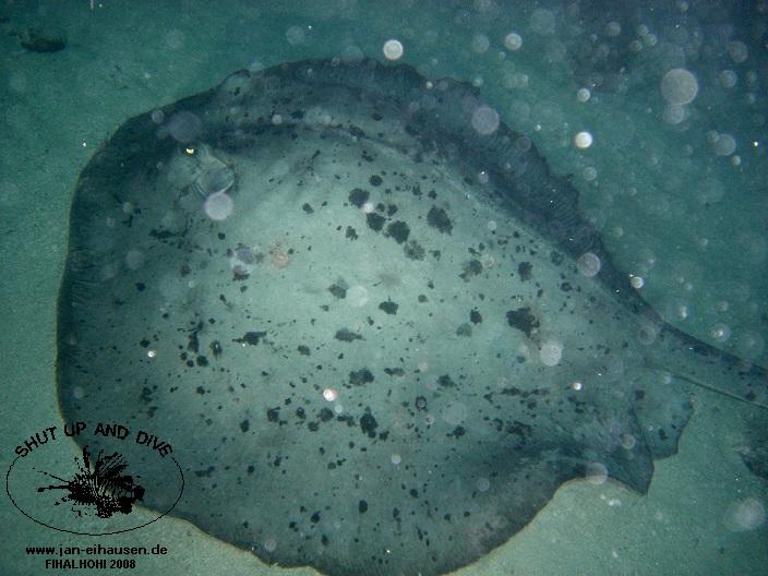 TG328-08-10-25_19-57a(25)