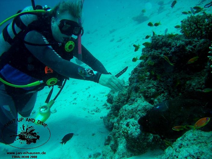 TG329-08-10-26_10-38a(25)