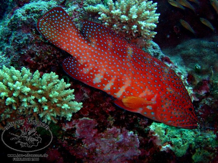 TG329-08-10-26_10-41(25)