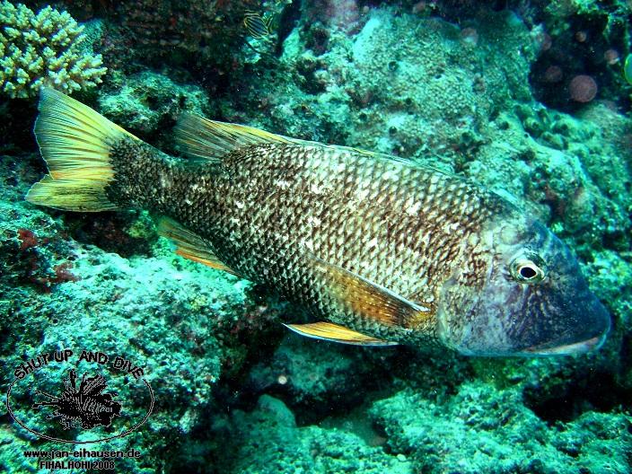 TG329-08-10-26_10-44b(25)