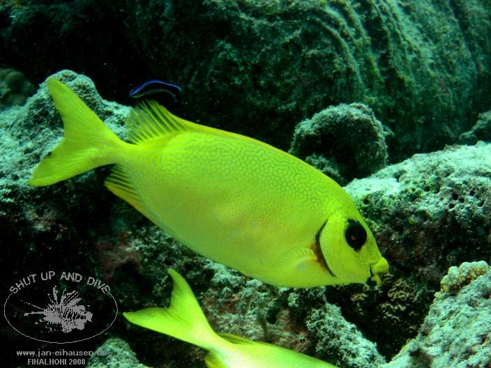 TG329-08-10-26_10-51(25)