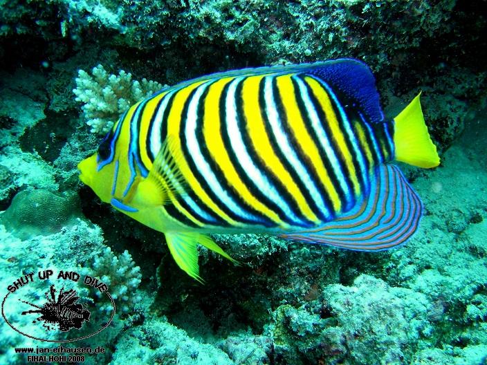 TG329-08-10-26_10-56(25)