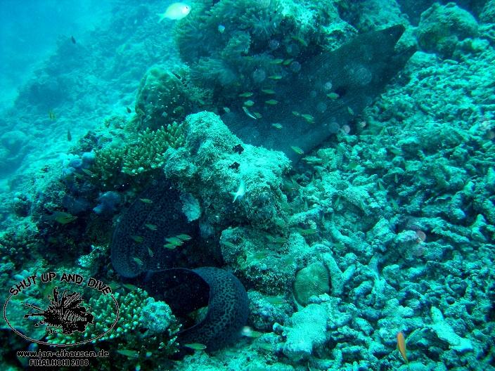 TG329-08-10-26_11-00b(25)