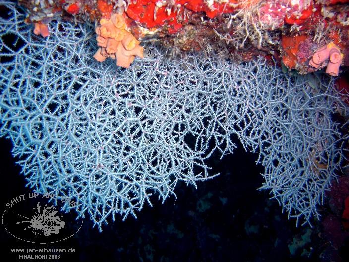 TG330-08-10-26_15-20b(25)