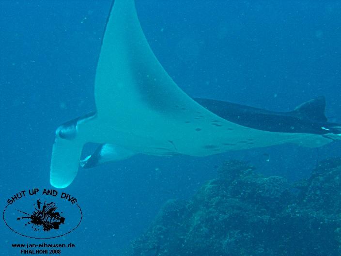 TG331-08-10-27_10-46e(25)