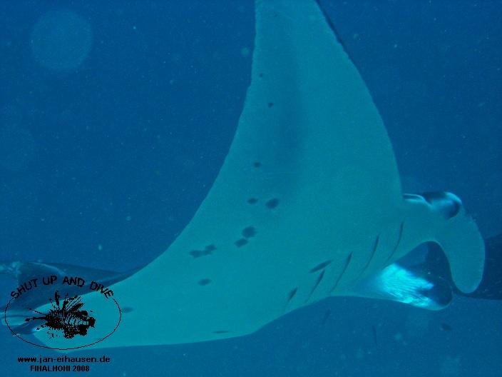 TG331-08-10-27_10-46g(25)